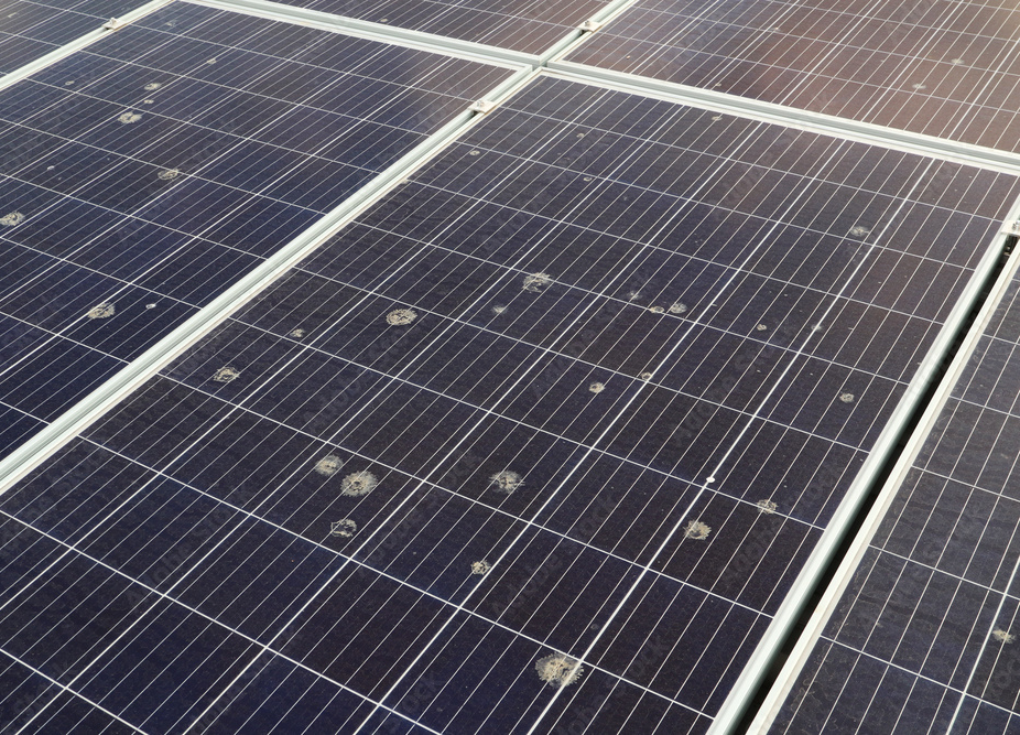 Solar panels with bird nesting material and droppings built up underneath